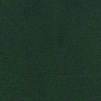 Photo of Bottle green fleece fabric